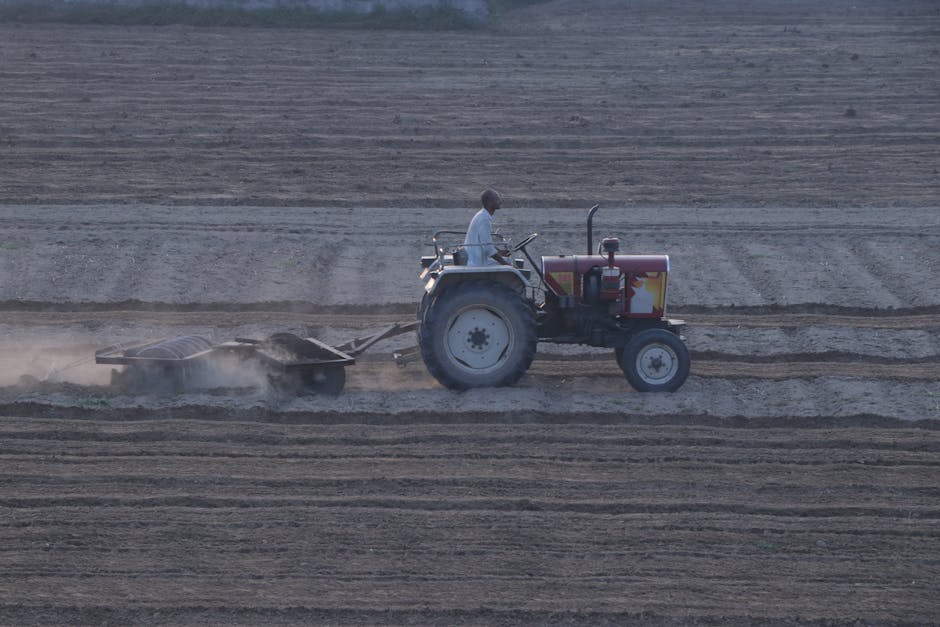 A person operating a tractor with large rear wheels and smaller front wheels, situated on a construction or farmland area with dry, leveled soil. The tractor is moving along a dirt pathway, pulling a plow or similar attachment, creating a slight dust cloud behind it. The environment appears to be open land with multiple parallel lines in the soil, suggesting recent tilling or preparation for planting. The operator is seated on the tractor, wearing casual clothing, and focused on the task. The scene is lit by natural daylight, emphasizing the earthy tones of the soil and equipment. This image exemplifies heavy machinery used in land preparation, often related to property development or agricultural activities, which can be part of the logistical process in home relocation or site clearing with services similar to those provided by Harrow Movers in house removals and moving logistics.